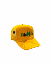 Load image into Gallery viewer, PAIN Trucker Hat
